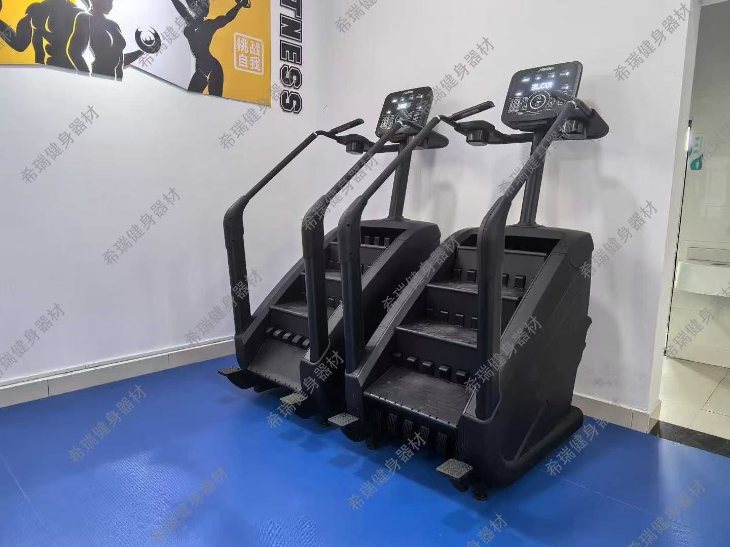 Attrezzatura cardio commercial - Home Gym Used recensione e prezzo