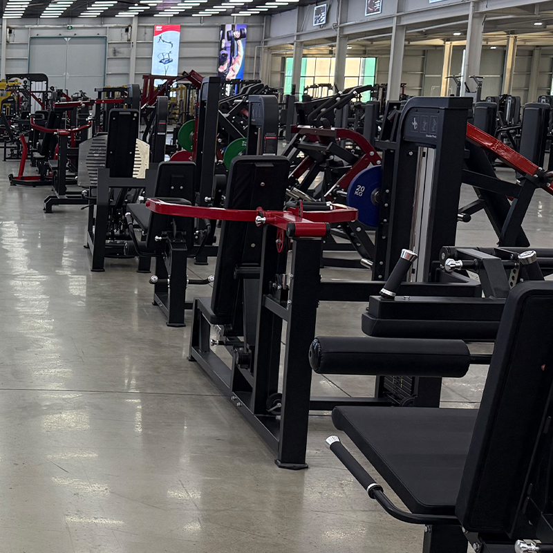 Attrezzatura Multifunzionale p - Home Gym Gym Equipment recensione e prezzo