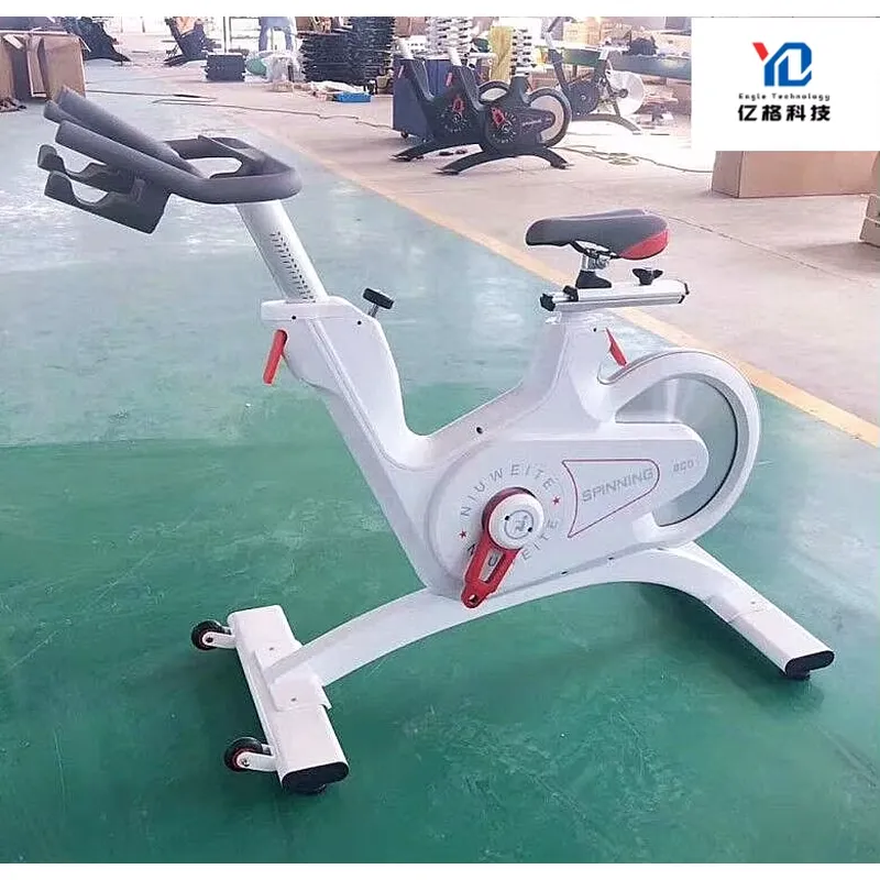 YG-S005 YG Fitness Cyclette Co - Home Gym Gym Equipment recensione e prezzo
