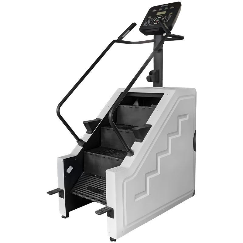 Maestro delle scale Macchina d - Home Gym Body Master recensione e prezzo